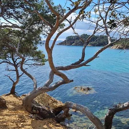 T2 Sea View In Saint-clair - Rated 3 Apartamento *